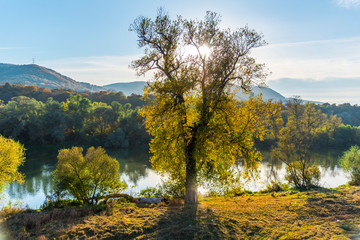 Autumn landscape with  Mures river