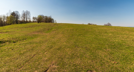 springtime meadow with few trees and clear sky