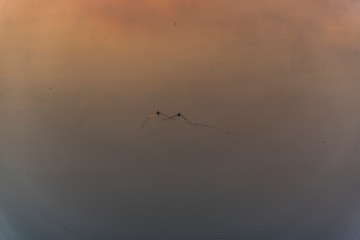 Morning sunrise near the river