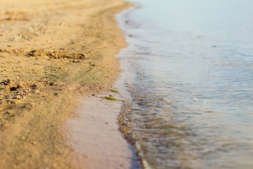 on a sandy beach on a sunny summer day