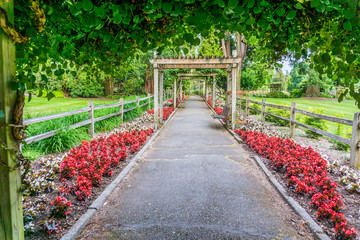 Garden Flowers And Walkway 3