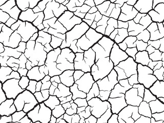 The cracks texture white and black. Vector background.Cracked earth. Structure of cracking. Cracks in dry surface soil texture. shards