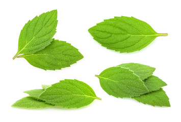 mint leaves isolated. set