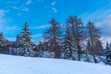 Winter landscape in dolomites Mountains