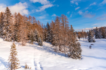 Winter landscape in dolomites Mountains