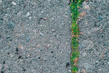 Grass on asphalt, Coltrast, Nature vs. Human