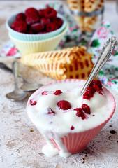 Vanilla ice cream with raspberries and waffle cones