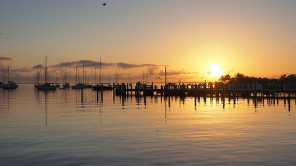 Sunrise over Dinner Key Marina in Coconut Grove, Miami, Florida.