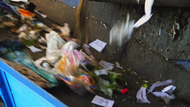 Garbage sorting conveyor on a waste recycling plant , Recycling 4k (UHD)