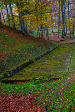 Sarmisegetusa Regia ruins in autumn , Romania