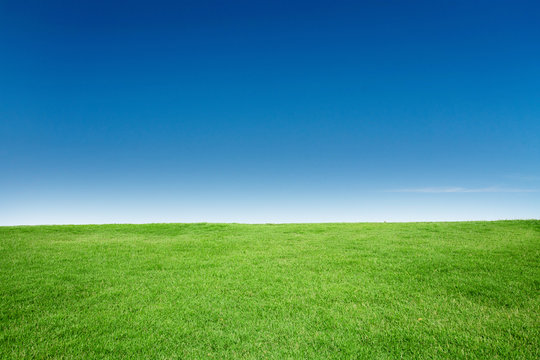 Green Grass Texture with Blang Copyspace Against Blue Sky © charnsitr