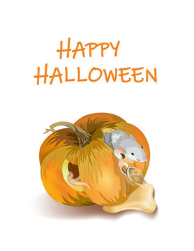 Vector image of a rat getting out of a pumpkin