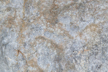 Cave wall/Surface of a cave/Stone surface/Stone background texture.