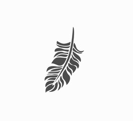 Gray vector icon - feather close-up. Beautiful lightweight feather - stylish print