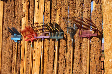 Colorful old rakes on the wooden wall