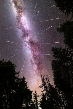 Purple Milky way falling stars pine trees silhouette © Belish