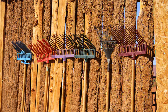 Colorful old rakes on the wooden wall