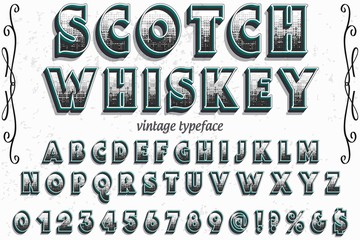  font script typeface vector named vintage