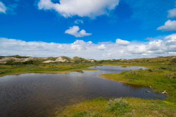 Landschaft bei Bergen in Nordholland