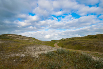 Fototapeta na wymiar Dünenlandschaft bei Schoorl in Nordholland