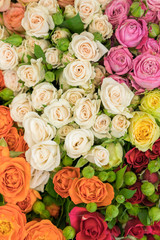 Bright multicolored bouquet of roses. Multicolored fresh roses background. Plenty of colorful bright roses close up. vertical photo