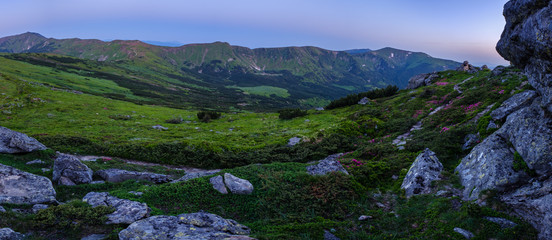 Carpathian morning summer panarama view.
