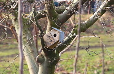 birdhouse that is falling from the tree
