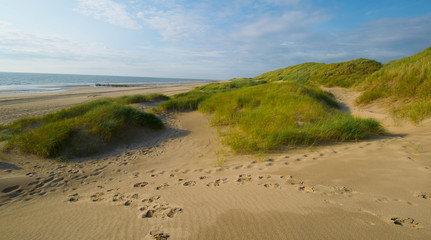 Strand bei Hargen aan Zee in Nordholland