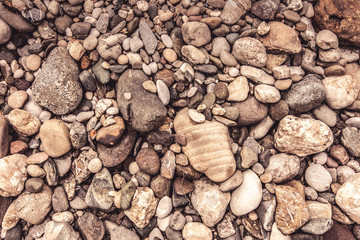 Stone Background and Texture. Nature Design Concept.