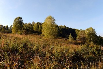  Early morning in the mountains of Altai Krai. Western Siberia 