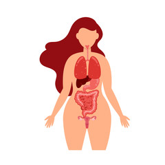 Human body health care infographics of lungs, digestive tract, large intestine, liver and stomach. Infographics elements diagarms and copy space
