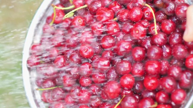 Top view Closeup of fresh ripe cherries being poured over water. Tasty and healthy fruits. 4K UHD video