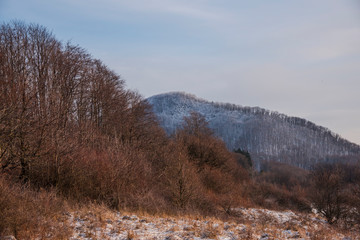 Winter landscape