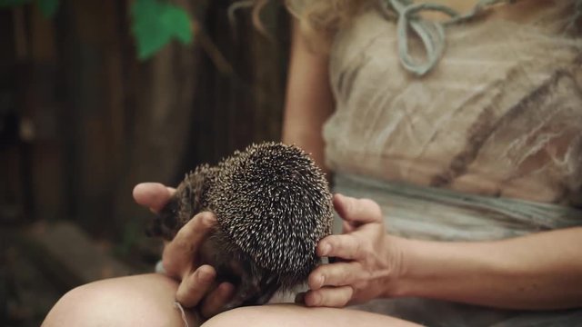 A young woman holds in her hands hedgehogs, a dangerous animal, a carrier of such viruses as rabies and tetanus. Fairy-tale princess is friends with animals