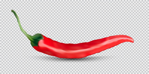 Red hot natural chili pepper pod realistic image with shadow for culinary products and recipes vector illustration - obrazy, fototapety, plakaty