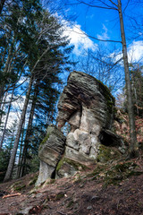 Rocks in a forest among trees.