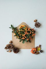 Autumn background. Rowan branches in envelope with fir cones and acorns.
