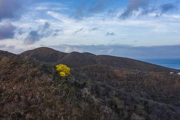 Aerial view over area Westpunt - Curaçao/Caribbean /Dutch Antilles