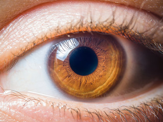 Human eye close up