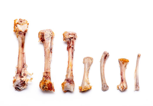 Some kind of Chicken Bones with Meat isolated on white Background