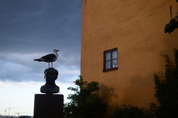 seagull ivarlo park and statue