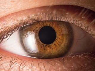 Human eye close up