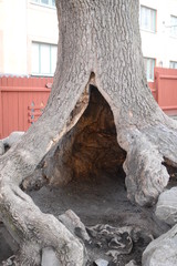 sweden stockholm ivarlo park