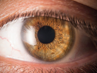 Human eye close up