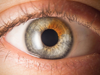 Human eye close up