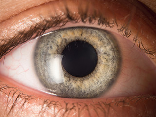 Human eye close up