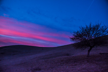 Springtime landscape at the sunset on the hill