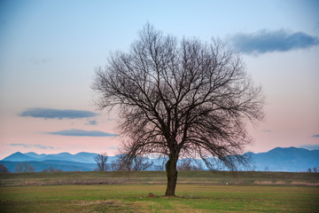Sun set in the springtime