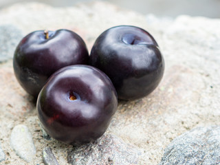 Three dark purple plum fruits