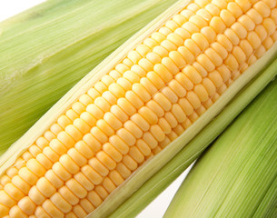 トウモロコシ